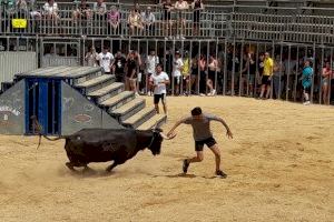 Qui ha de pagar la seguretat en els bous? Polèmica a Albal entre peñistas i un kiosko