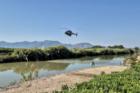 Alerta a la Ribera: torna el malson de la mosca negra