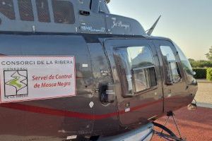 Alerta a la Ribera: torna el malson de la mosca negra - (foto 2)