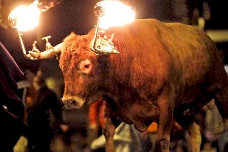 La plataforma antitaurina de la Comunidad Valenciana pide al nuevo alcalde que no dé ningún tipo de apoyo a los actos con animales