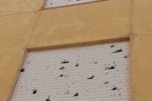 Desolación en Nules tras quedar aniquilado por el pedrisco: piden ayuda urgente al Gobierno - (foto 4)