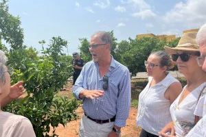 La Vilavella, devastada por la tormenta: caída de árboles y riesgo de desprendimientos - (foto 6)