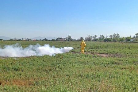 Nules intensifica la lucha contra los mosquitos tras las lluvias de la DANA y advierte de multas de hasta 3.000 euros