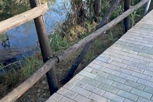 El PP de Nules denuncia que l'Estany se encuentra en un estado "dramático" - (foto 6)