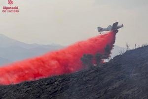 Los más de 200 incendios de este verano calcinan menos de 740 hectáreas en la Comunitat Valenciana