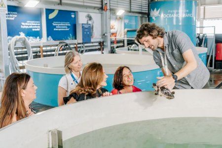 Nules sigue de cerca el futuro de sus tortugas marinas en el Oceanogràfic de València