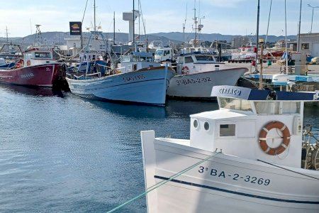 El catedrático de la UA José Luis Sánchez Lizaso preside el ‘Foro científico para la pesca española en el Mediterráneo’ El catedrático de la UA José Luis Sánchez Lizaso preside el ‘Foro científico para la pesca española en el Mediterráneo’