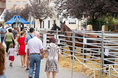 Nules cierra 78 años de su feria como centro neurálgico de la agricultura