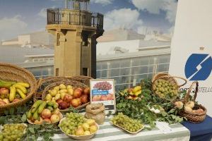 ALCER Castalia colabora en el Día de la Fruta de la Fundación PortCastelló con información y mediciones de salud para las y los trabajadores ALCER Castalia colabora en el Día de la Fruta de la Fundación PortCastelló con información y mediciones de salud para las y los trabajadores