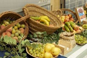 ALCER Castalia colabora en el Día de la Fruta de la Fundación PortCastelló con información y mediciones de salud para las y los trabajadores - (foto 6) ALCER Castalia colabora en el Día de la Fruta de la Fundación PortCastelló con información y mediciones de salud para las y los trabajadores - (foto 6)