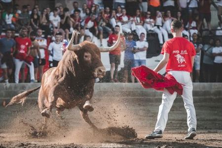 Llíria celebra su gran cita taurina con encierros, 15 toros cerriles y vacas emboladas: consulta aquí el progrmaa