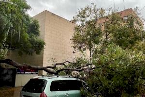 València. Carrer Carcaixent València. Carrer Carcaixent