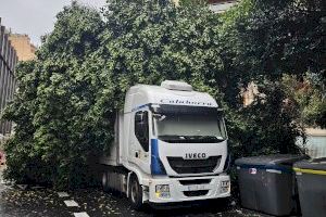 València. Pintor Sorolla València. Pintor Sorolla