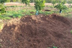 La Unió Llauradora denúncia que 15 municipis valencians es queden sense ajudes per al control del senglar - (foto 2) La Unió Llauradora denúncia que 15 municipis valencians es queden sense ajudes per al control del senglar - (foto 2)