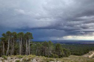AEMET activa l'avís per tempestes amb possibilitat de graníssol a l'interior valencià aquest dijous AEMET activa l'avís per tempestes amb possibilitat de graníssol a l'interior valencià aquest dijous