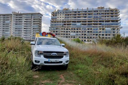 Las lluvias provocan una eclosión de mosquitos en la costa castellonense: piden la ayuda ciudadana para frenarlos