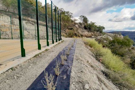 Morella mejora los alrededores de la pista deportiva y exterior del polideportivo Morella mejora los alrededores de la pista deportiva y exterior del polideportivo