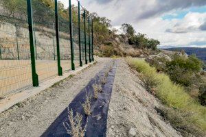 Morella mejora los alrededores de la pista deportiva y exterior del polideportivo