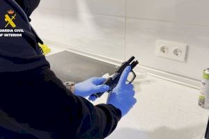 Silla i Albal, entre els municipis valencians on va caure una de les majors xarxes de marihuana d'Europa - (foto 4)