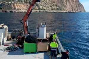 AVRAMAR participa en una nueva extracción de residuos marinos del Brut d´Ifac en la costa alicantina AVRAMAR participa en una nueva extracción de residuos marinos del Brut d´Ifac en la costa alicantina