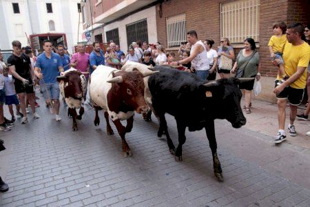 Un pueblo de Castellón revoluciona noviembre con una gran fiesta taurina con el estreno del Boufest y la Semana Cultural de “El Natural”