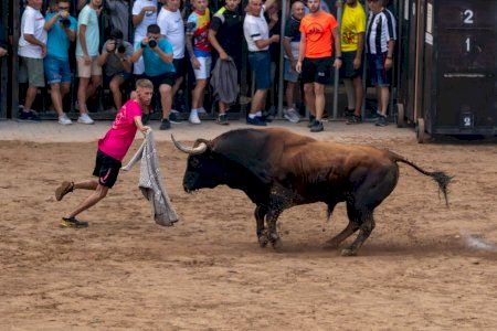 Otro municipio de Castellón celebrará toros este noviembre con una repleta agenda de actos por la Semana Cultural Taurina