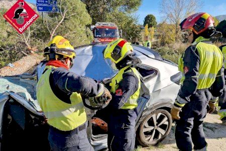 L'home mort a Ibi va caure amb el seu cotxe des de la A-7 a un camí i va xocar contra un arbre: les imatges de l'accident
