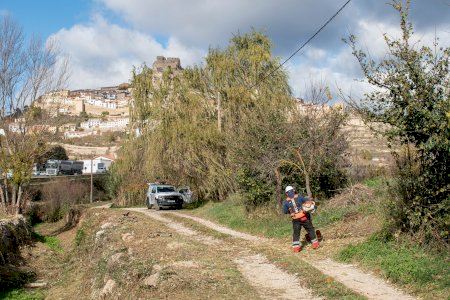 Trabajos de desbroza forestal en el lecho del barranco del Hostal Nou en Morella