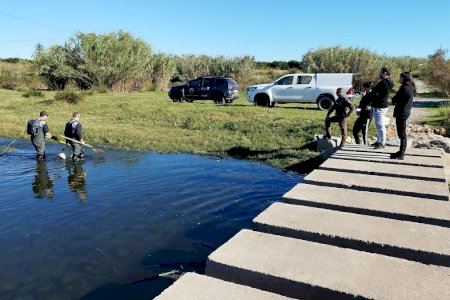 Investigan la presencia de nuevos contaminantes presentes en la fauna del río Mijares