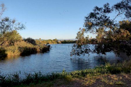 Nules oculta una sorpresa en l’Estany: una nueva laguna cambiará por completo este paraje clave del litoral valenciano