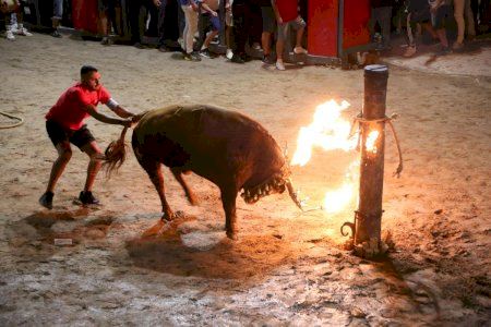 Un municipio de Castellón celebrará que fue el segundo de la historia en hacer 'bous al carrer' en toda España