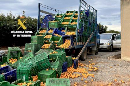 Cau 'el nòmada de la Plana': atrapen a un traficant amagat entre horts després d'una persecució de pel·lícula amb accident final i ferits