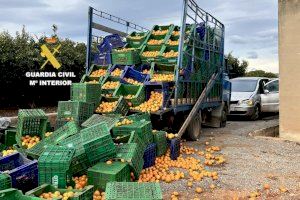 Cau 'el nòmada de la Plana': atrapen a un traficant amagat entre horts després d'una persecució de pel·lícula amb accident final i ferits