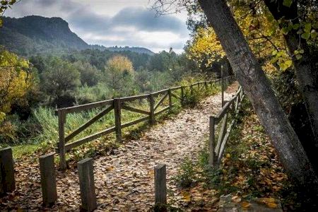 Xàtiva destinará 40.000 euros a mejorar el Paraje Natural Municipal de la Cova Negra