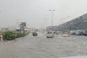 El Ayuntamiento de Castellón mantiene las clases y cierra el Pinar del Grao por riesgo de caída de árboles este lunes