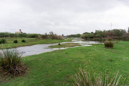 El río Mijares, más vivo que nunca con su nuevo vecino "de paso"