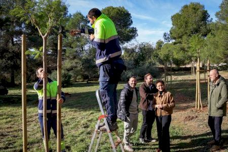El proyecto que convertirá un entorno olvidado de Onda en una zona para pasear