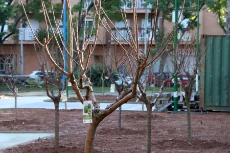 Onda avanza la transformación del parque de las Tres Culturas con un nuevo espacio más accesible y abierto