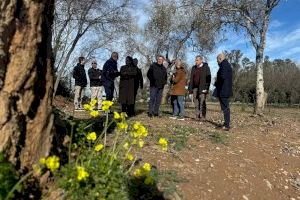 Un bosc al costat d'un famós riu, declarat com l'últim paratge natural de la Comunitat Valenciana - (foto 2)
