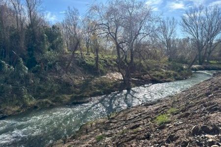 Un bosc al costat d'un famós riu, declarat com l'últim paratge natural de la Comunitat Valenciana