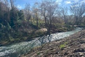 Un bosc al costat d'un famós riu, declarat com l'últim paratge natural de la Comunitat Valenciana