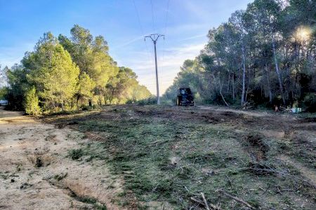 Compromís per Paterna denuncia l’impacte ambiental de la tala sota les línies d’alta tensió al Parc Natural del Túria