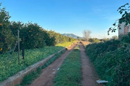 Un pueblo de Valencia se opone a una central fotovoltaica en suelo agrícola protegido