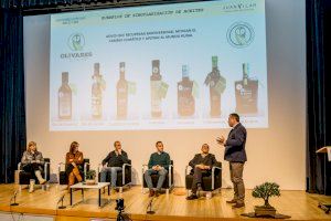 El futuro del olivar ante el cambio climático centra una de las líneas clave del AOVE Forum Internacional - (foto 2)