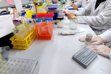 Gasterra presenta en Dénia los resultados de la investigación gastronómica impulsada por la Universidad de Alicante