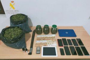 Colp antidroga a Ibi: desmantellada una plantació de marihuana amb més de 570 plantes en un habitatge familiar