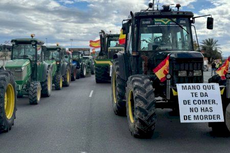 El campo tomará el centro de Alicante con una gran tractorada: “No nos sentimos parte, sino más bien enemigos en nuestra propia casa”