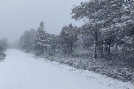 La neu cobreix de blanc l'interior valencià abans de l'arribada del fort vendaval causat per una nova borrasca d'alt impacte La neu cobreix de blanc l'interior valencià abans de l'arribada del fort vendaval causat per una nova borrasca d'alt impacte