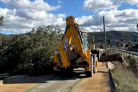 El Ayuntamiento lleva a cabo más de 40 intervenciones para dar respuesta a alertas relacionadas con los fuertes vientos en Ontinyent