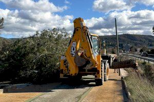 El Ayuntamiento lleva a cabo más de 40 intervenciones para dar respuesta a alertas relacionadas con los fuertes vientos en Ontinyent